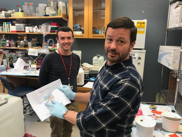 Two researchers working together at a laboratory bench